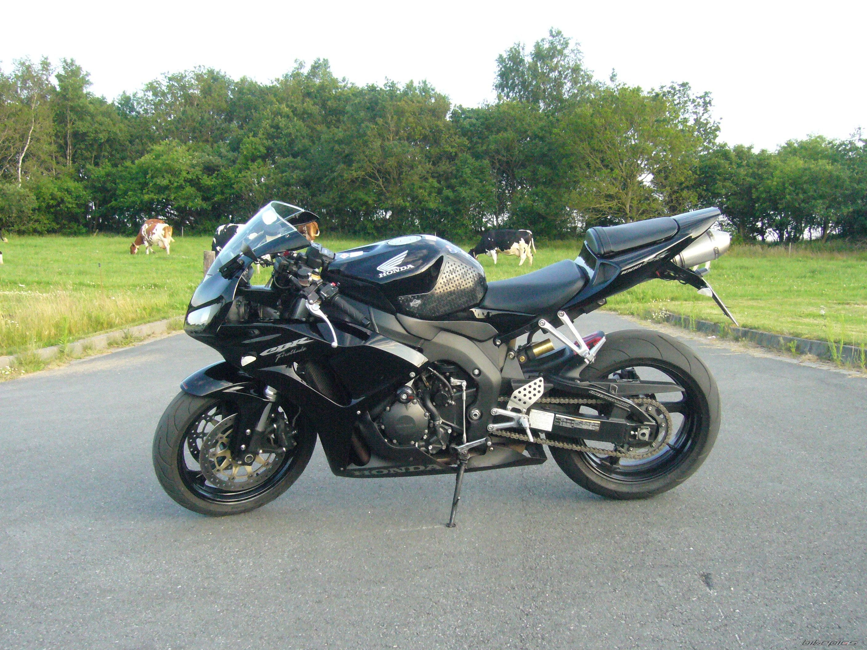 Photo 2423594