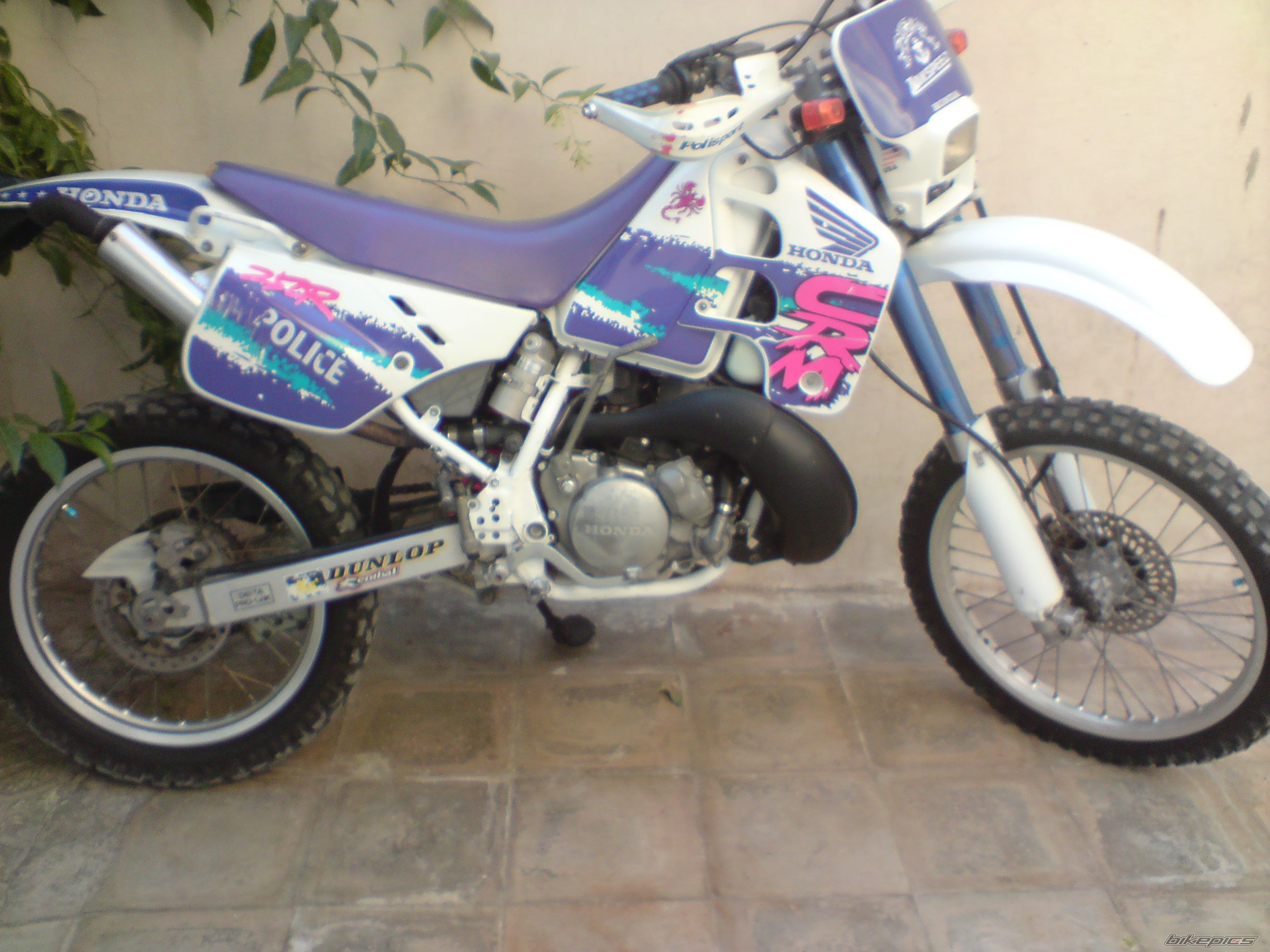 Photo 2423731