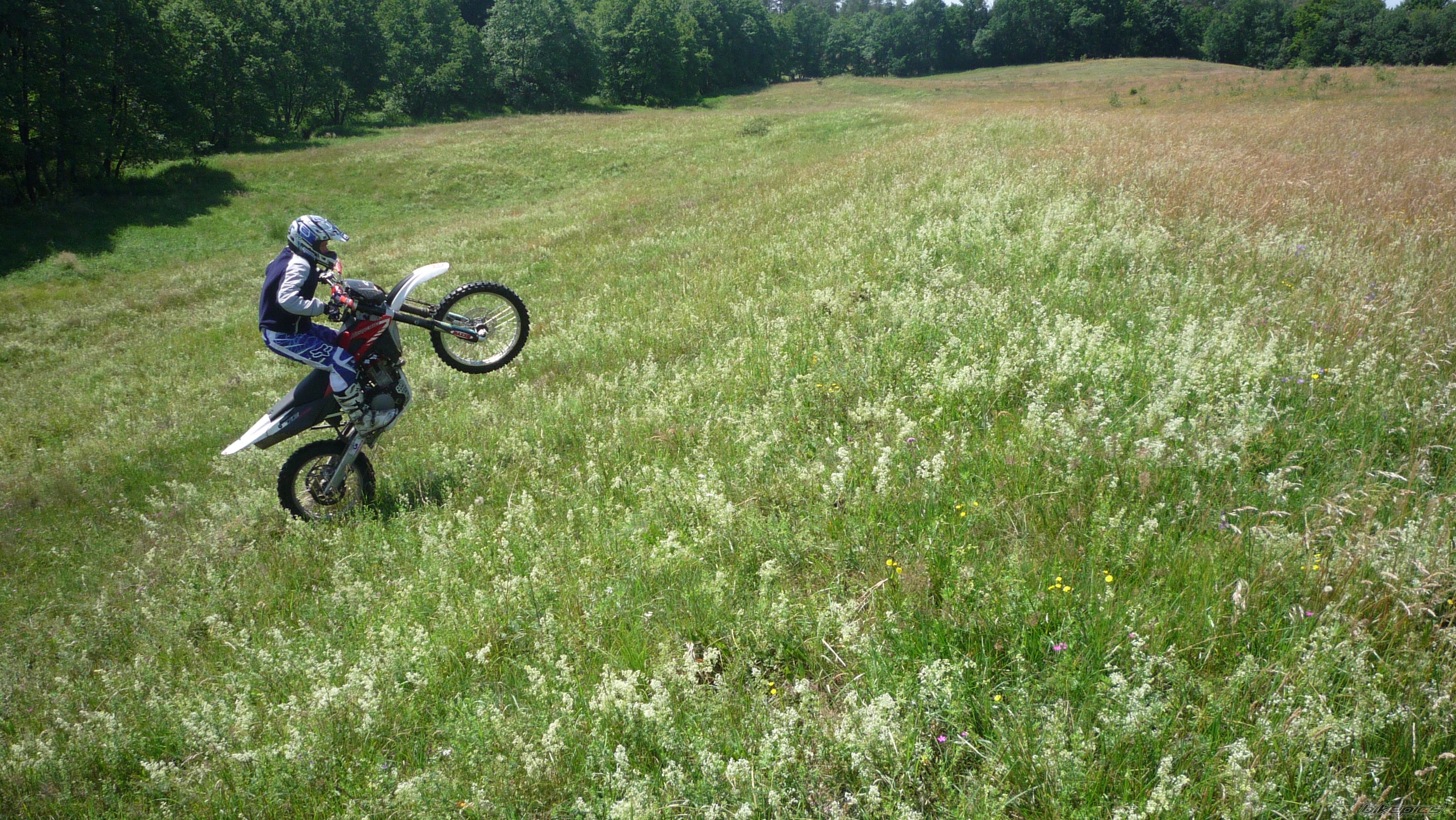Photo 2423794