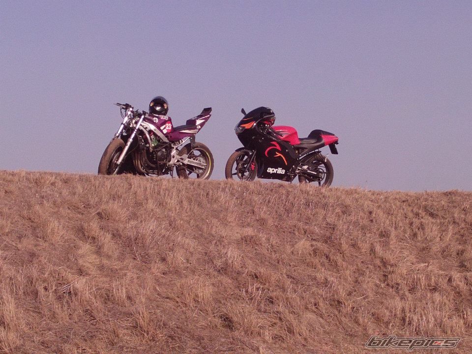 Photo 2423803