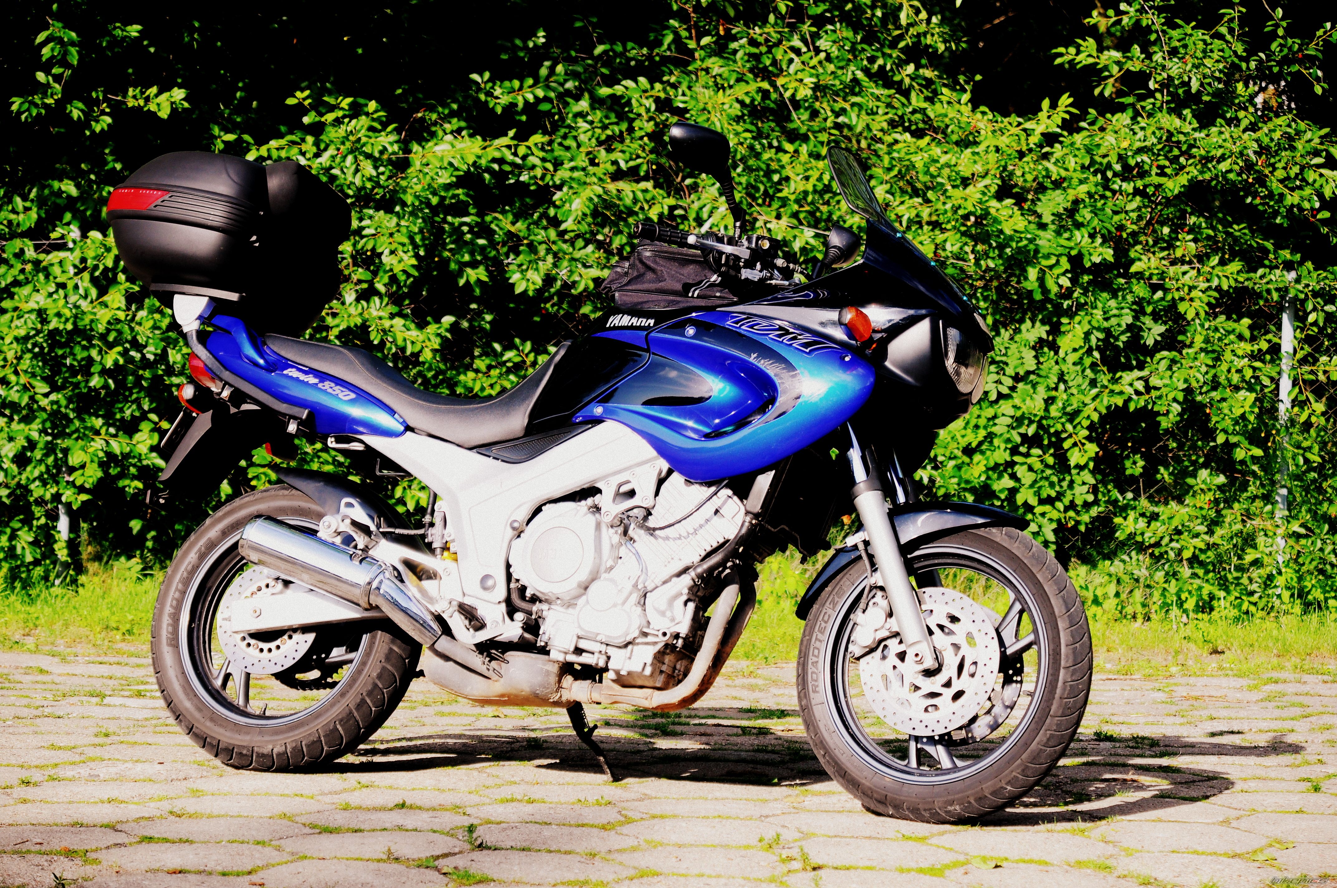 Photo 2423832