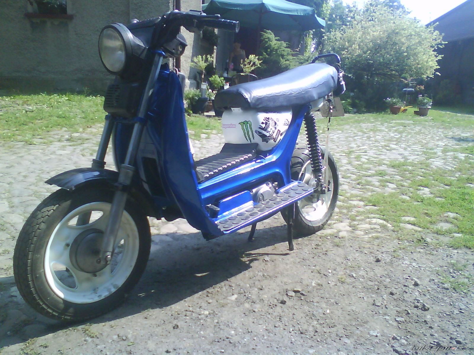 Photo 2423848