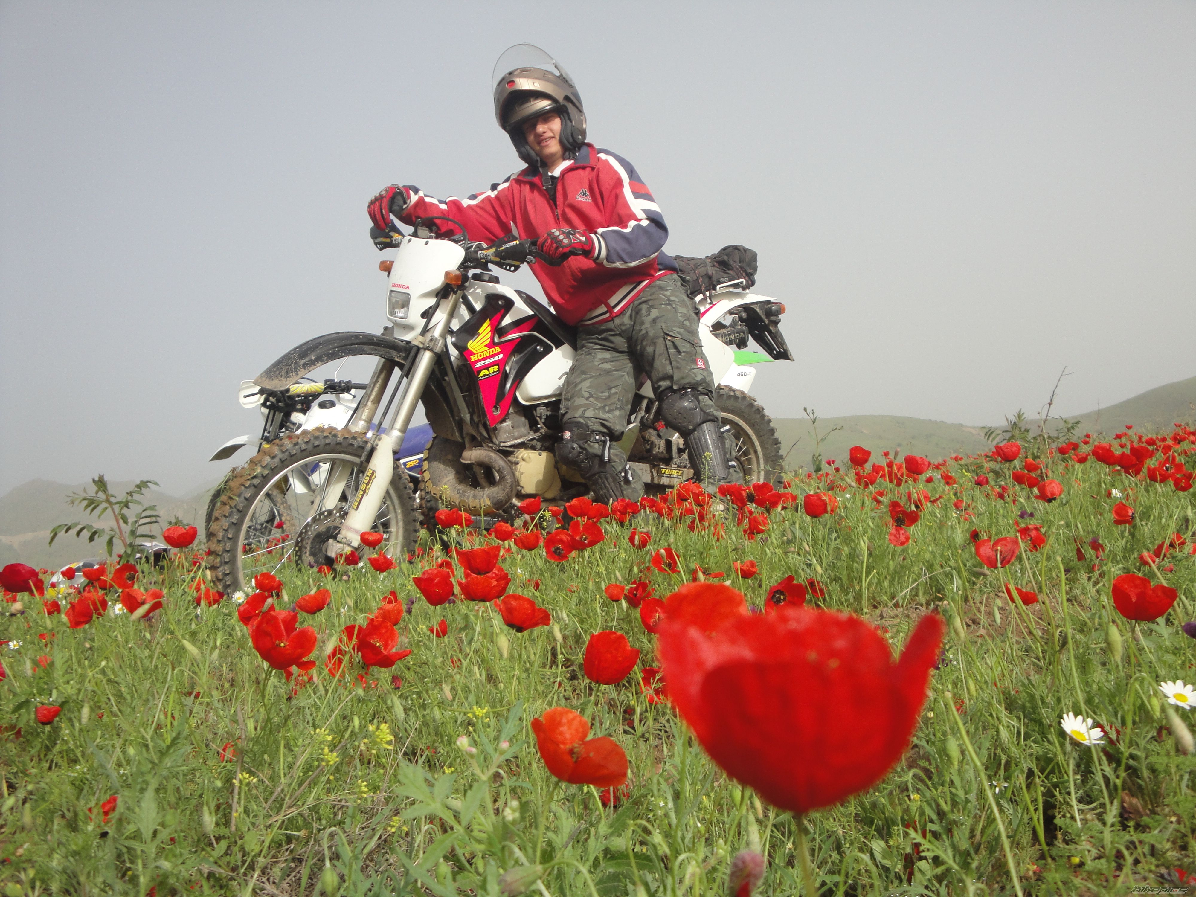 Bike Photo 2423899