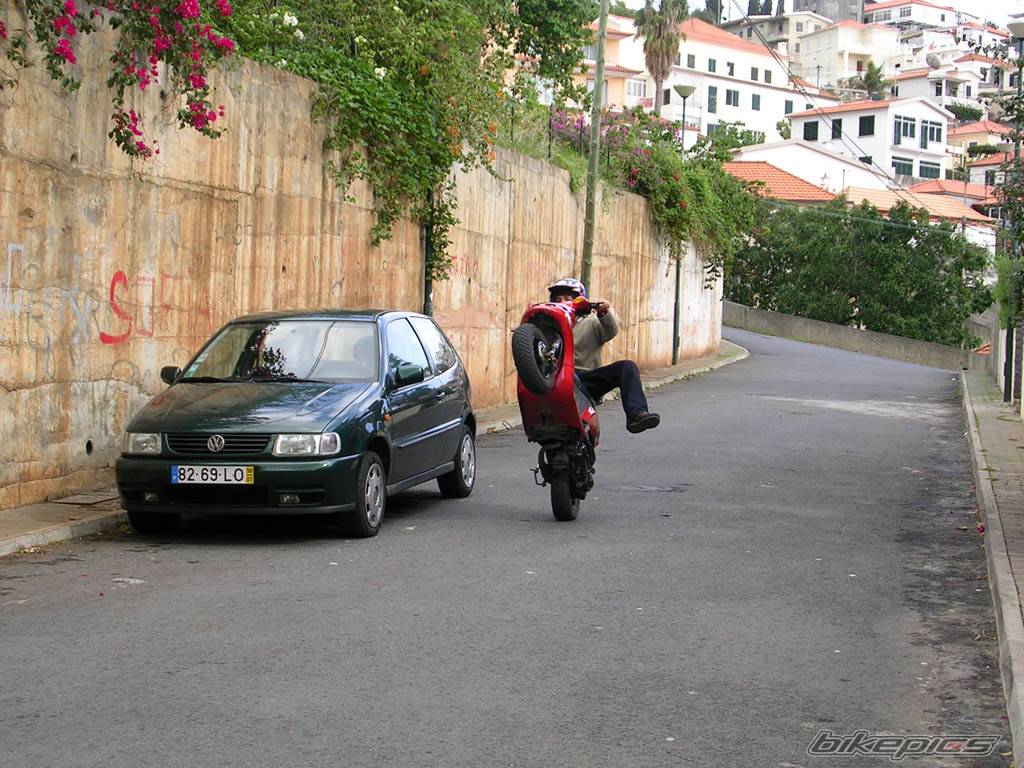 Photo 242392