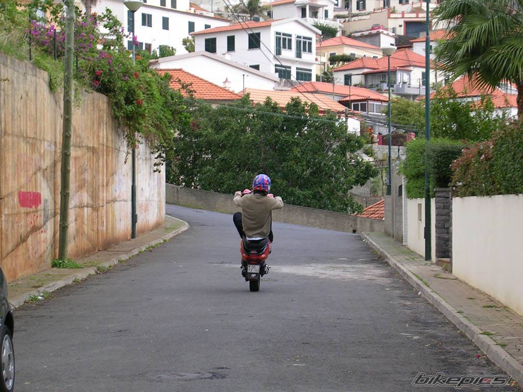 Photo 242394