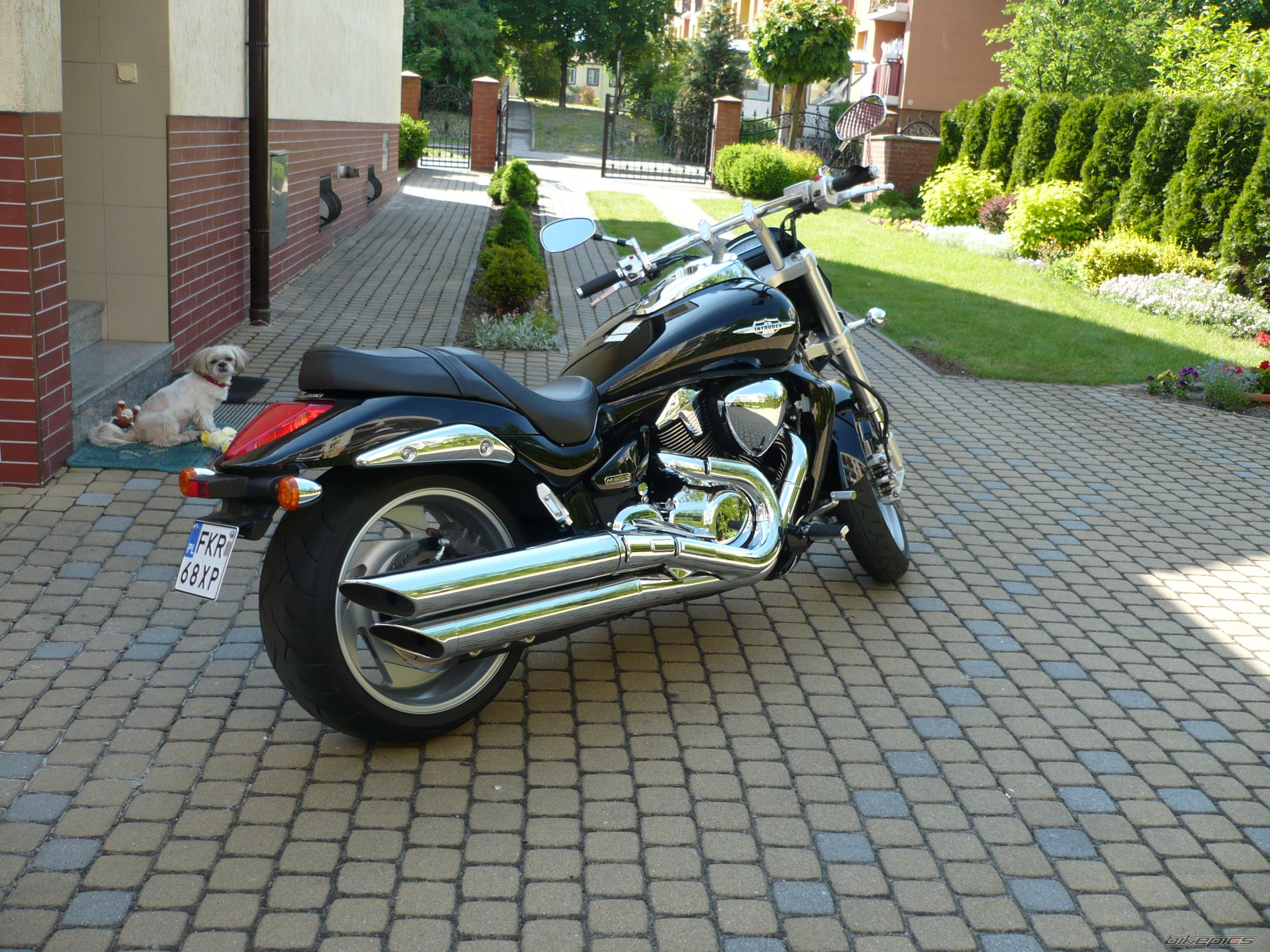 Photo 2423942