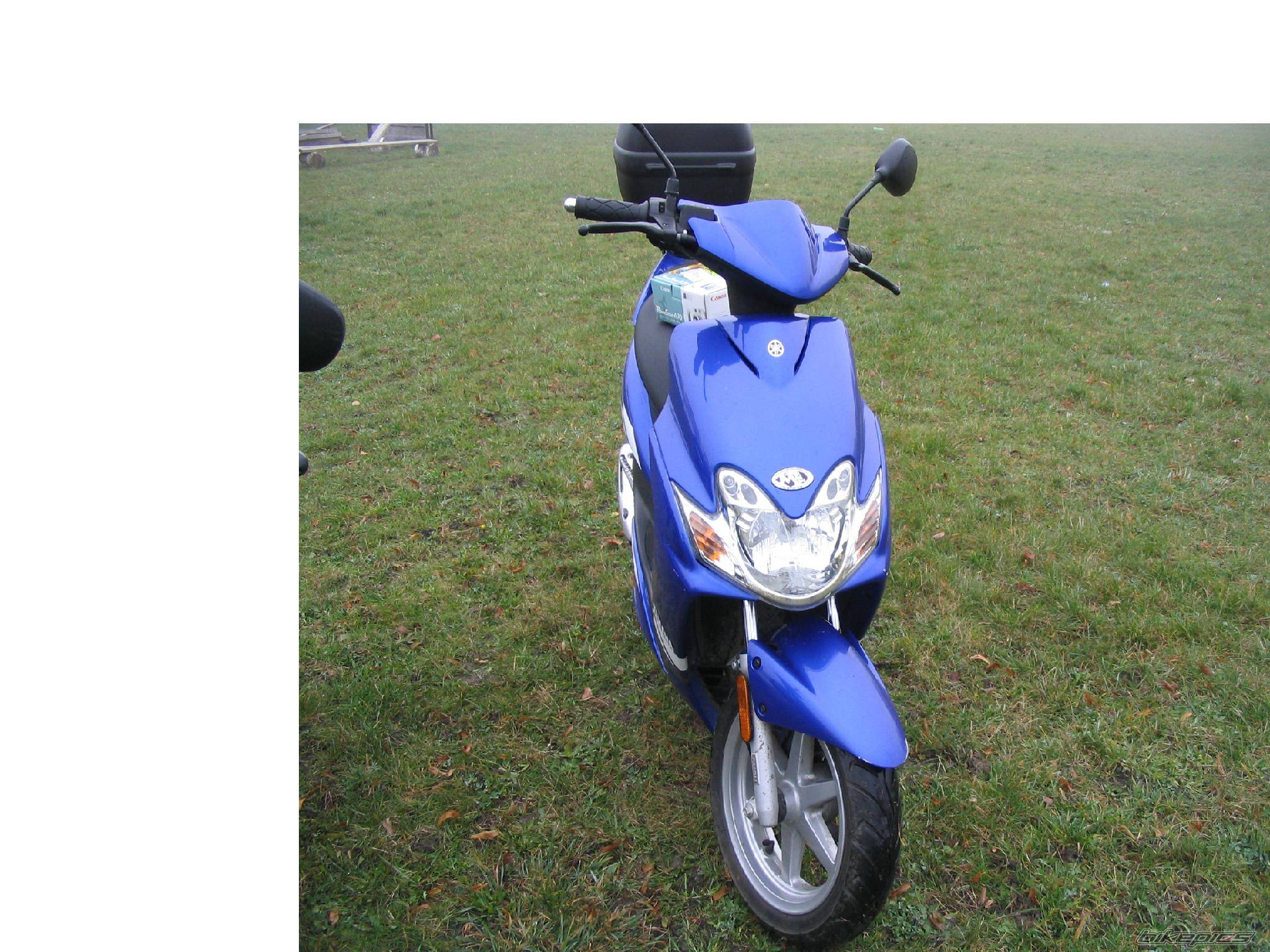 Photo 242397