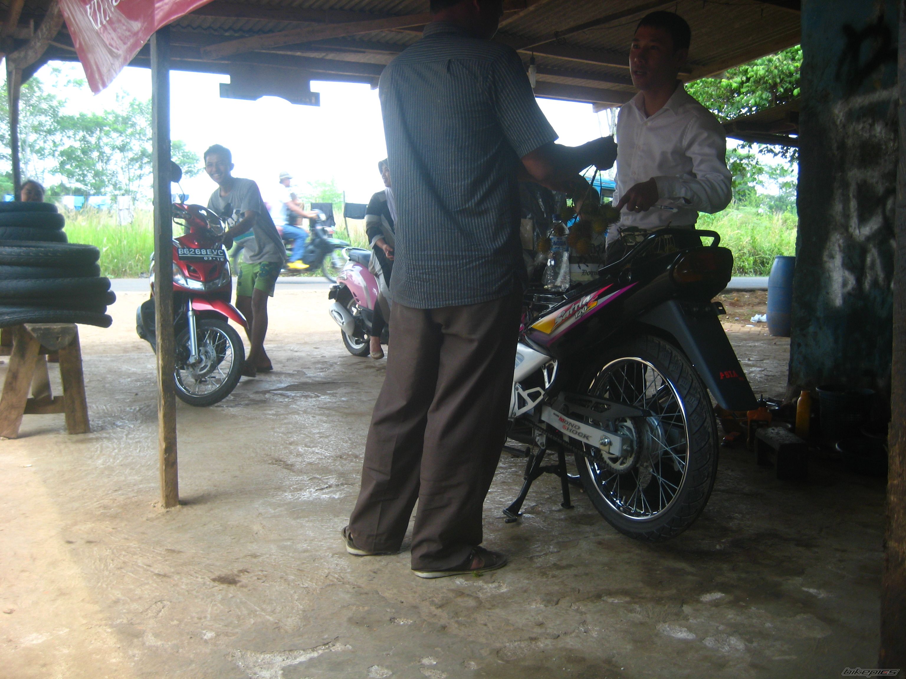 Photo 2423995