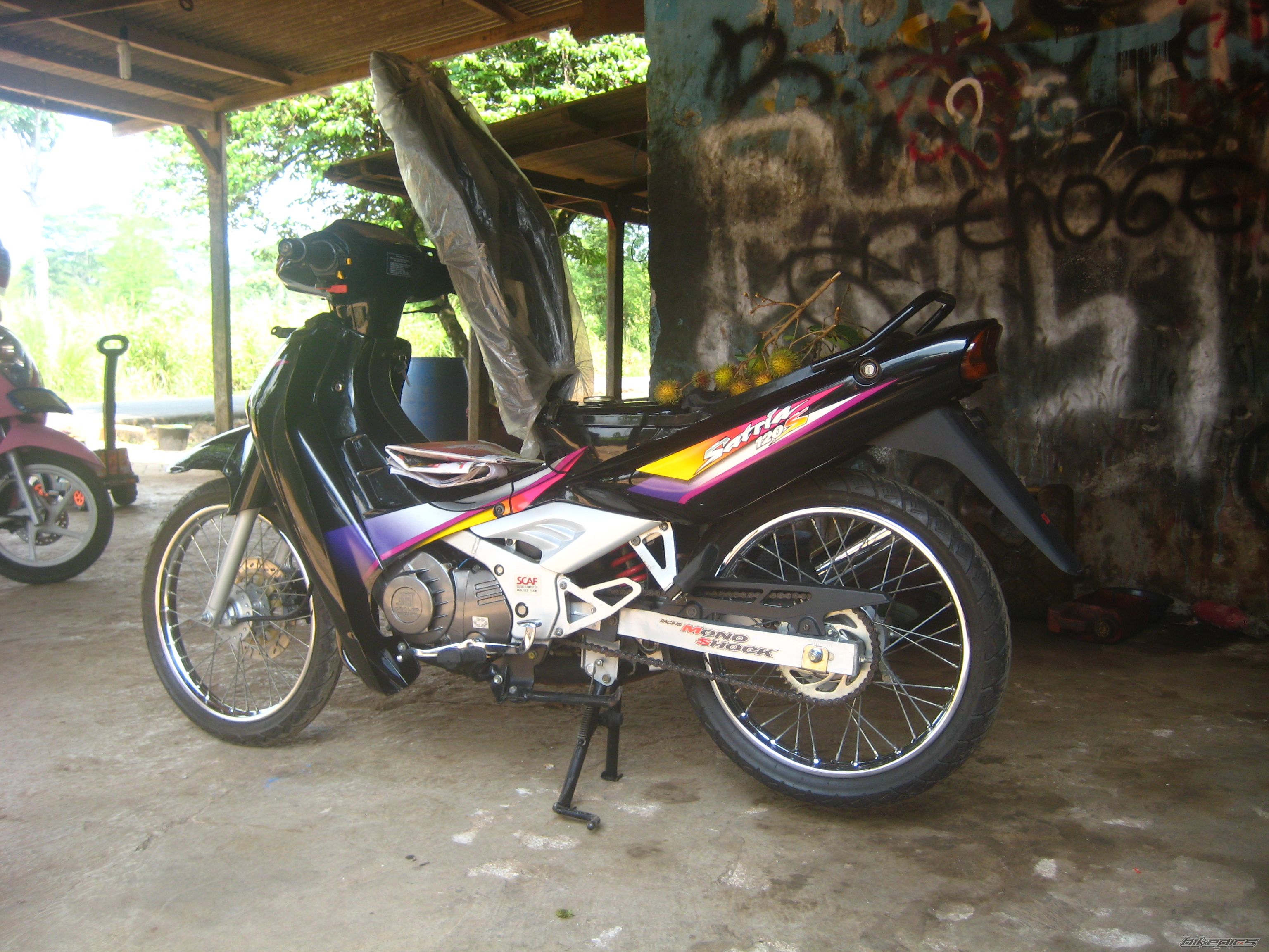Photo 2423999