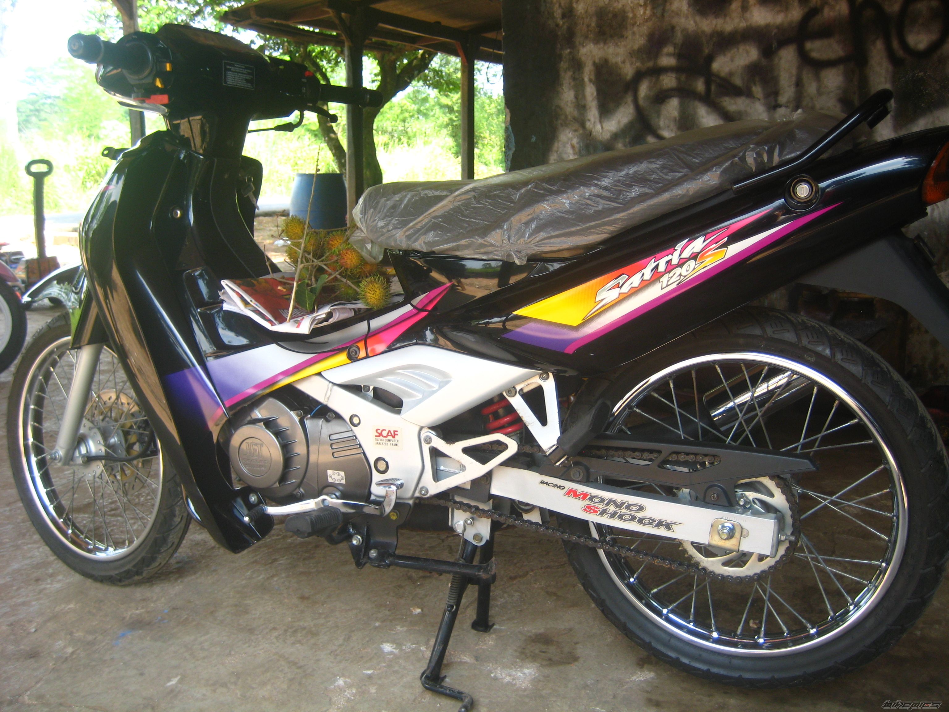Photo 2424001