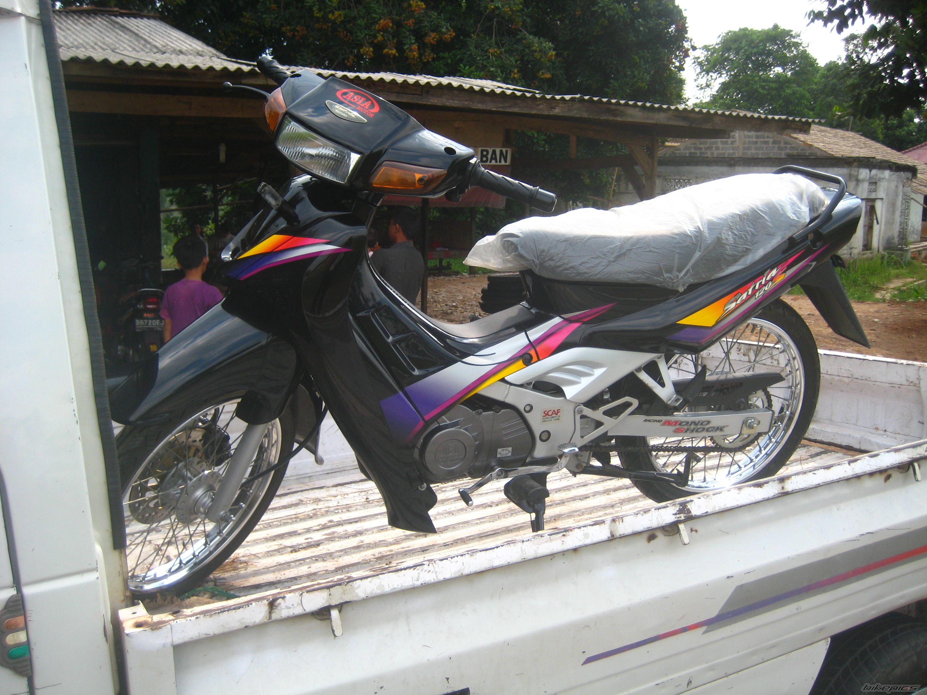 Photo 2424005