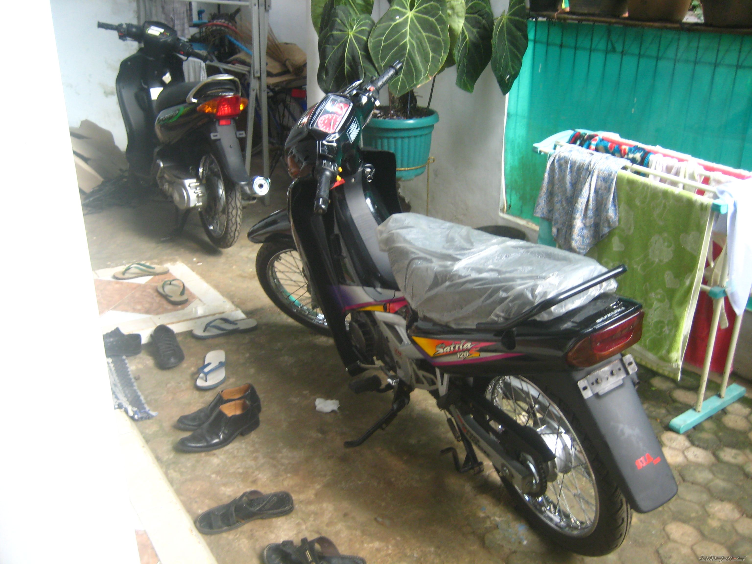 Photo 2424013