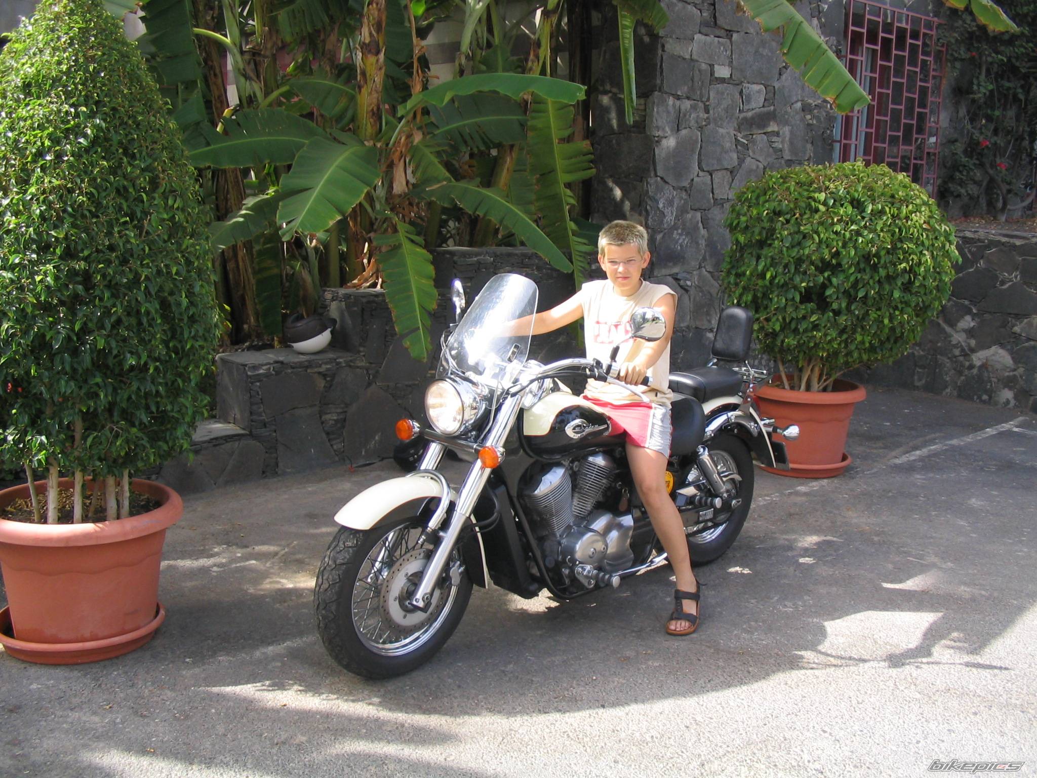 Photo 242412