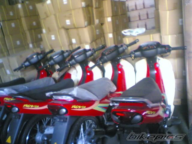 Photo 2424180