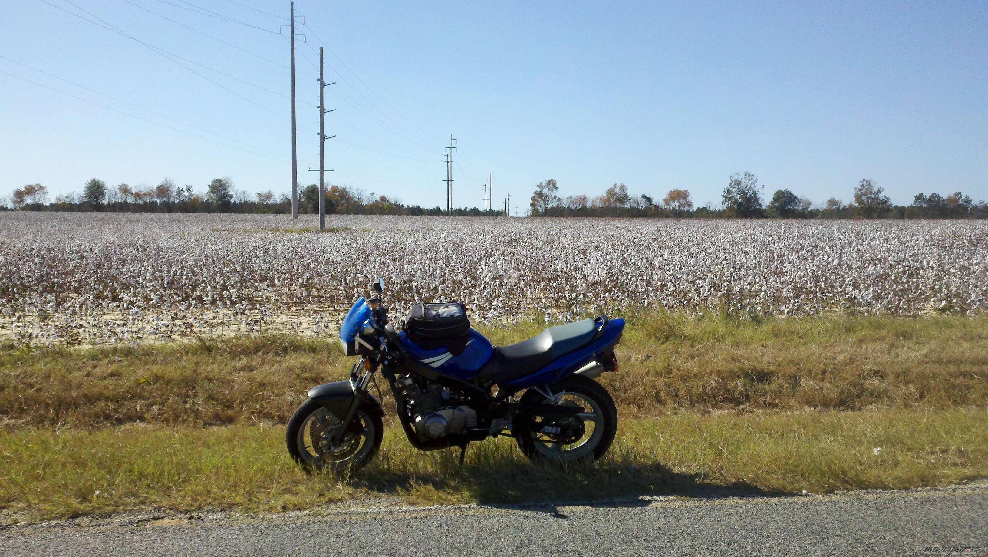 Photo 2424235