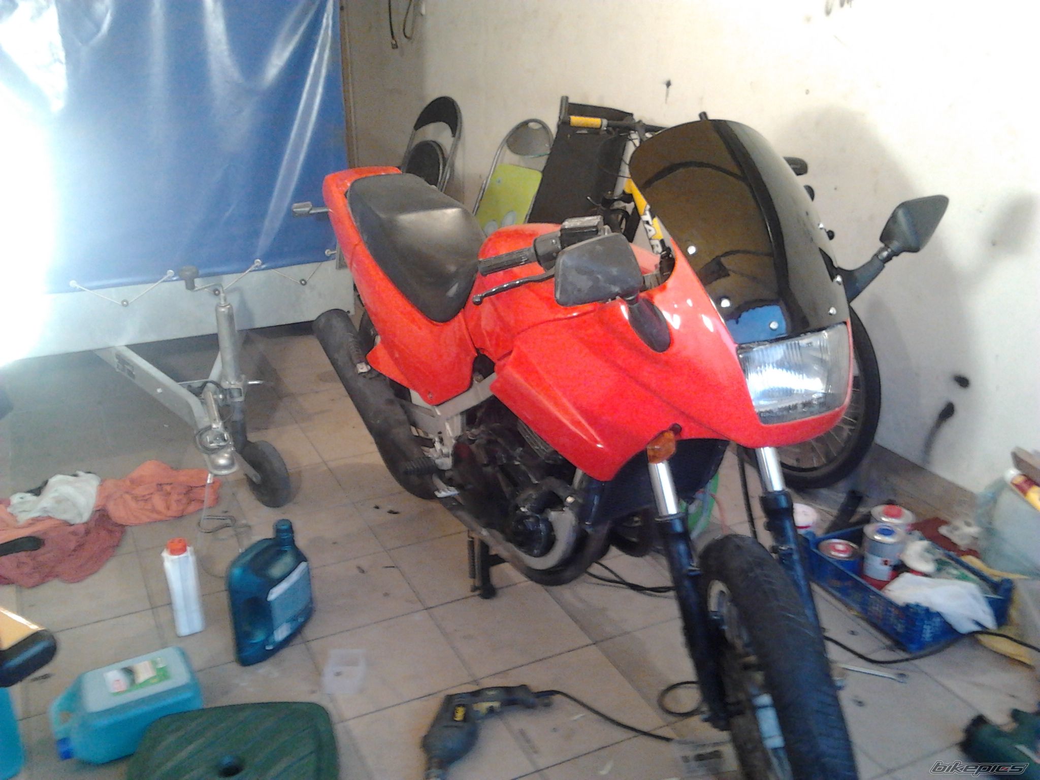 Photo 2424305
