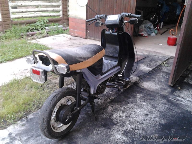 Photo 2424313