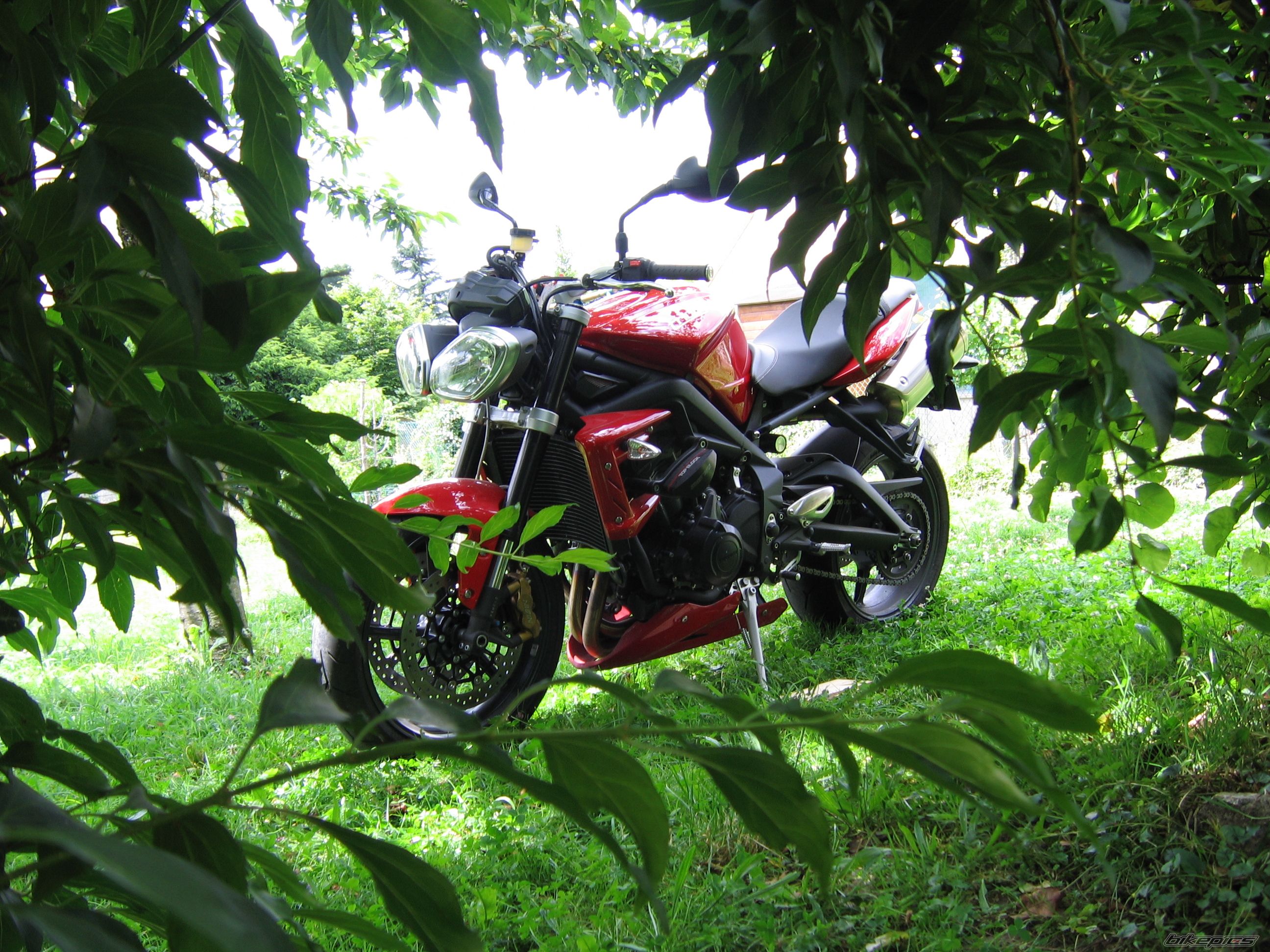 Photo 2424332