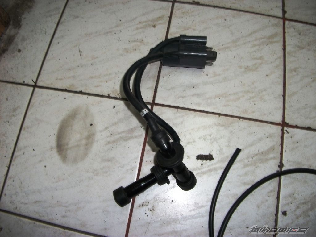 Photo 2424382