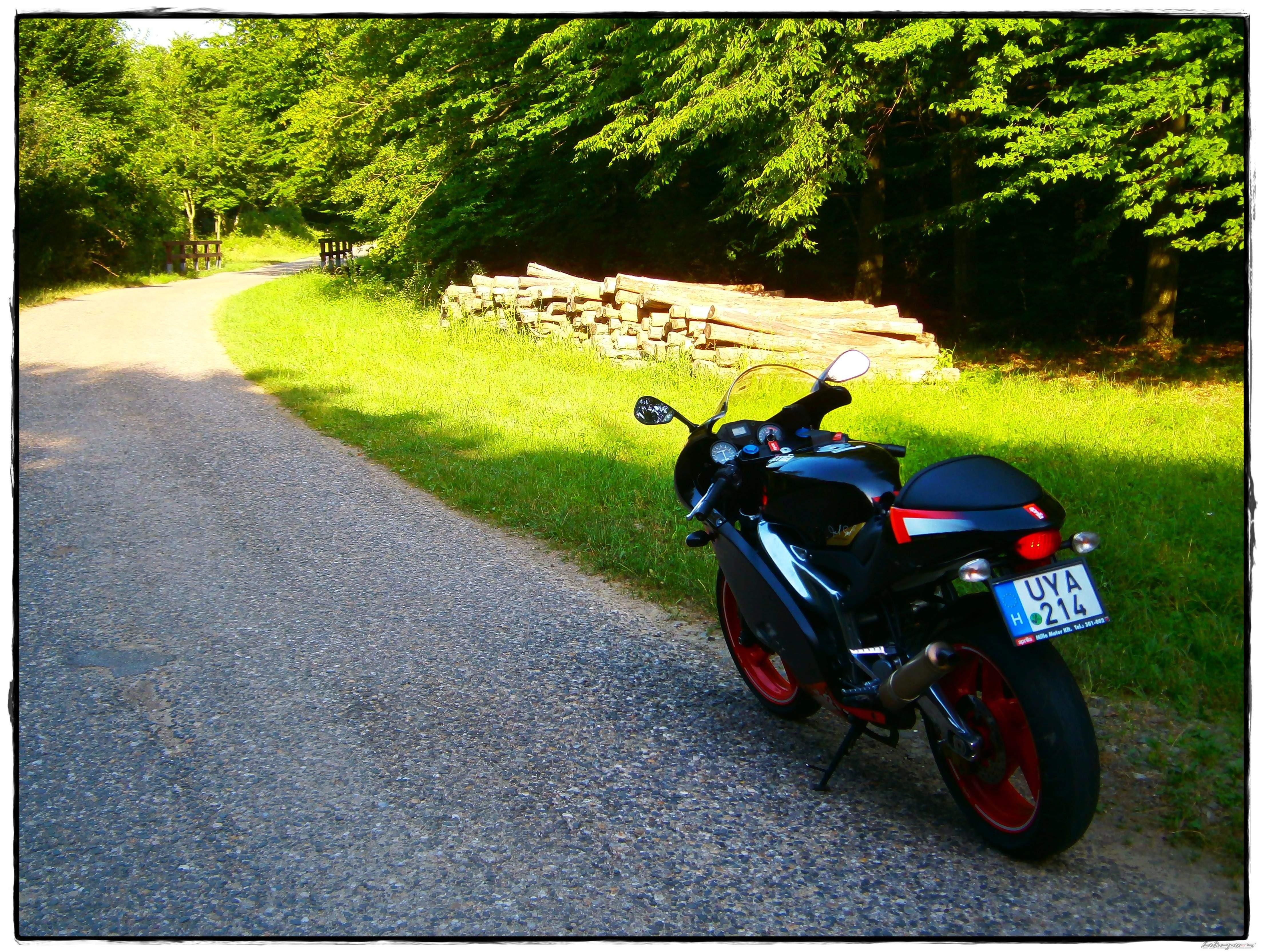 Photo 2424509