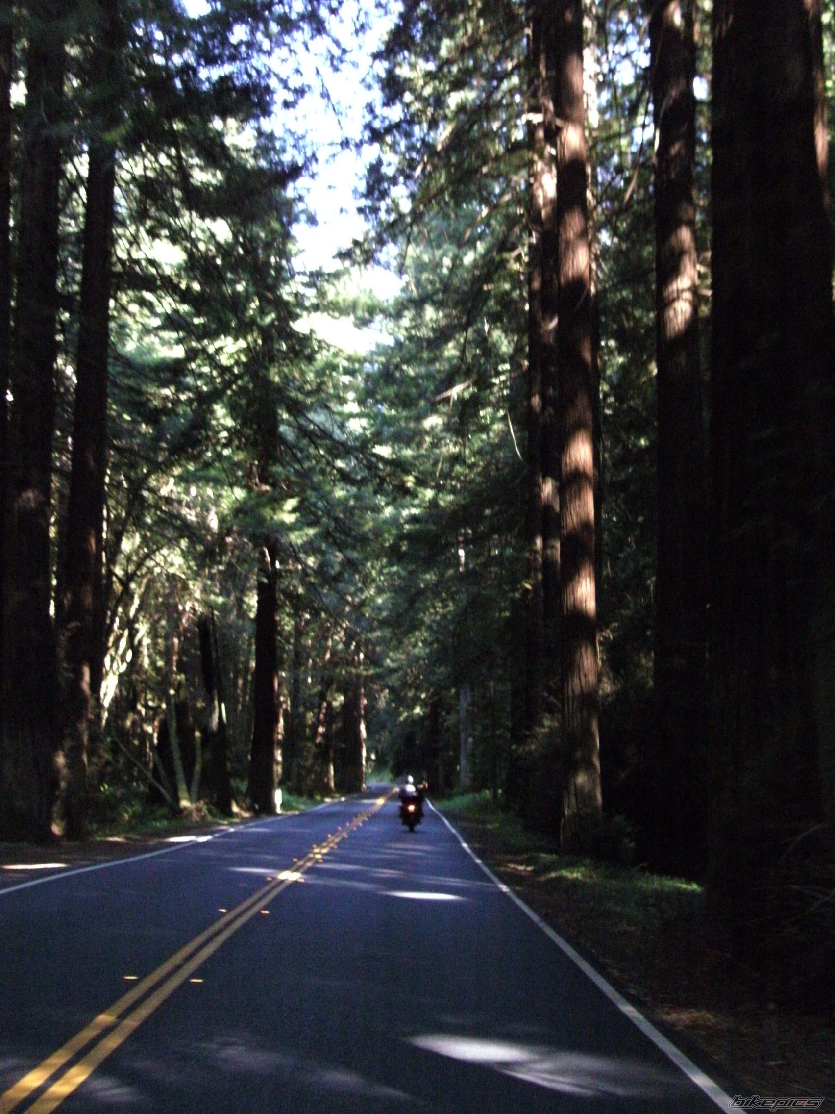 Bike Photo 2424648
