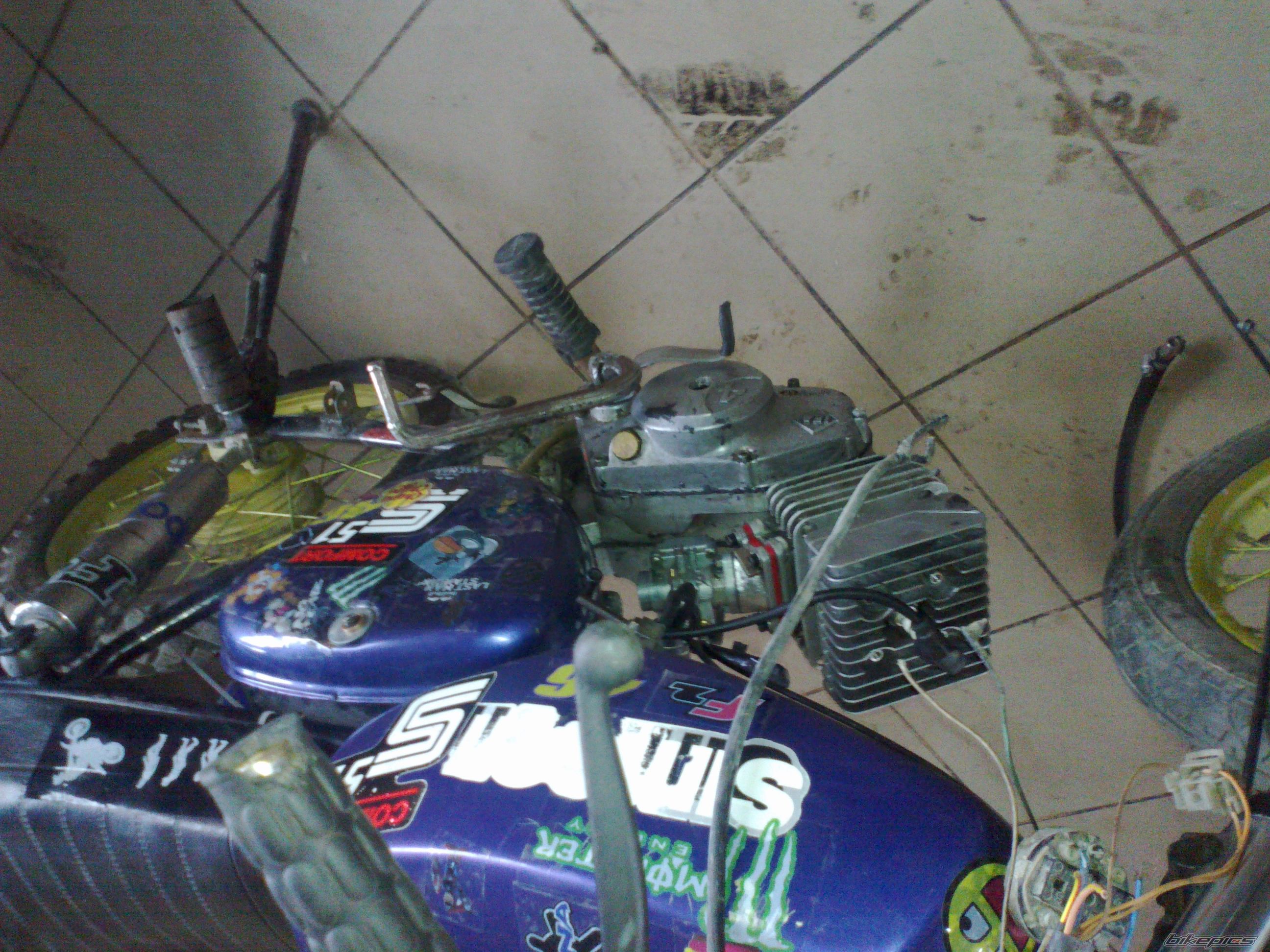 Photo 2424699