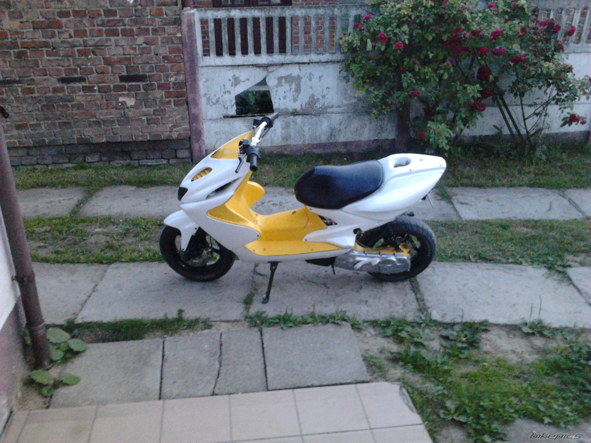 Photo 2424748
