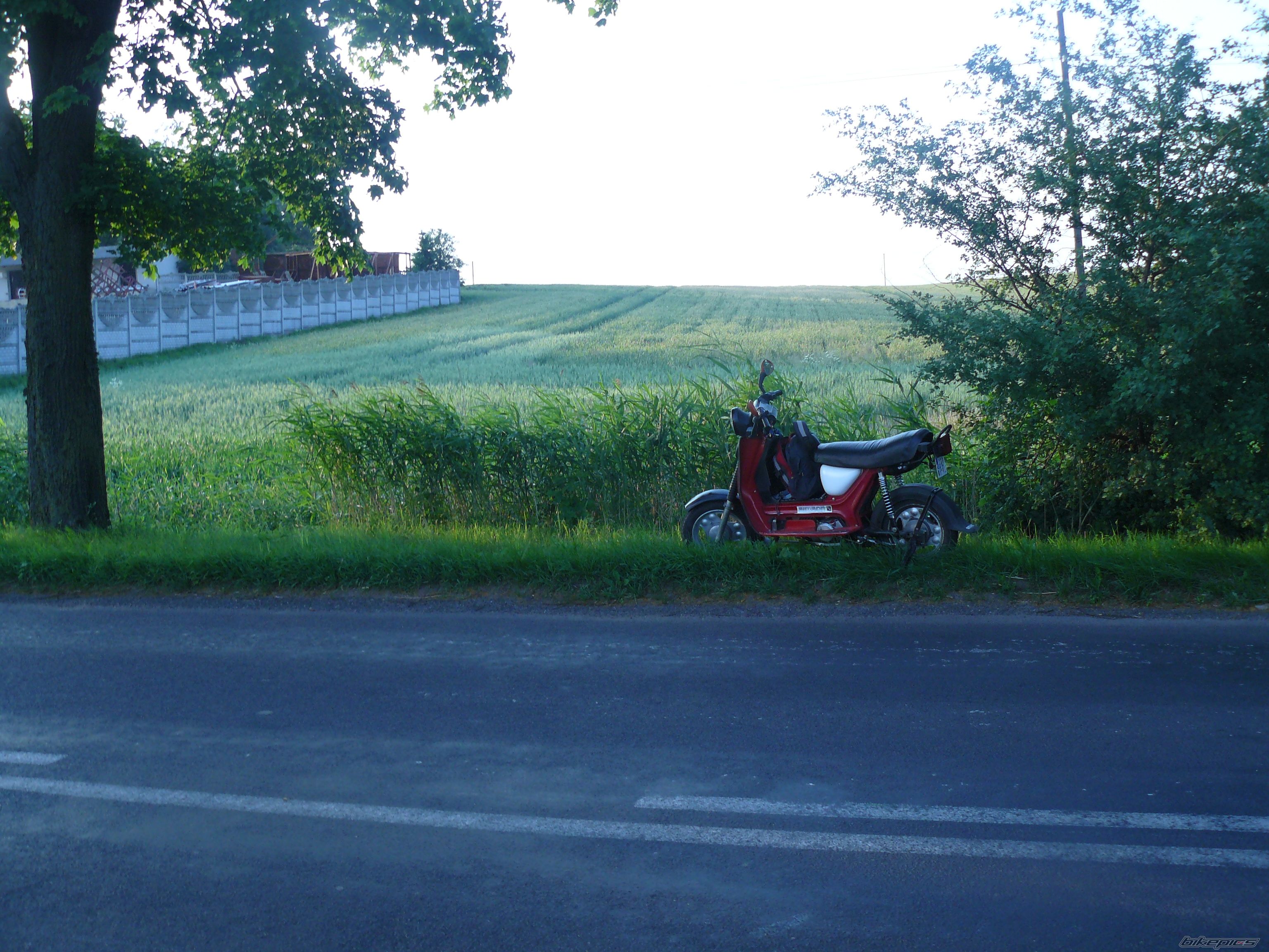 Photo 2424765