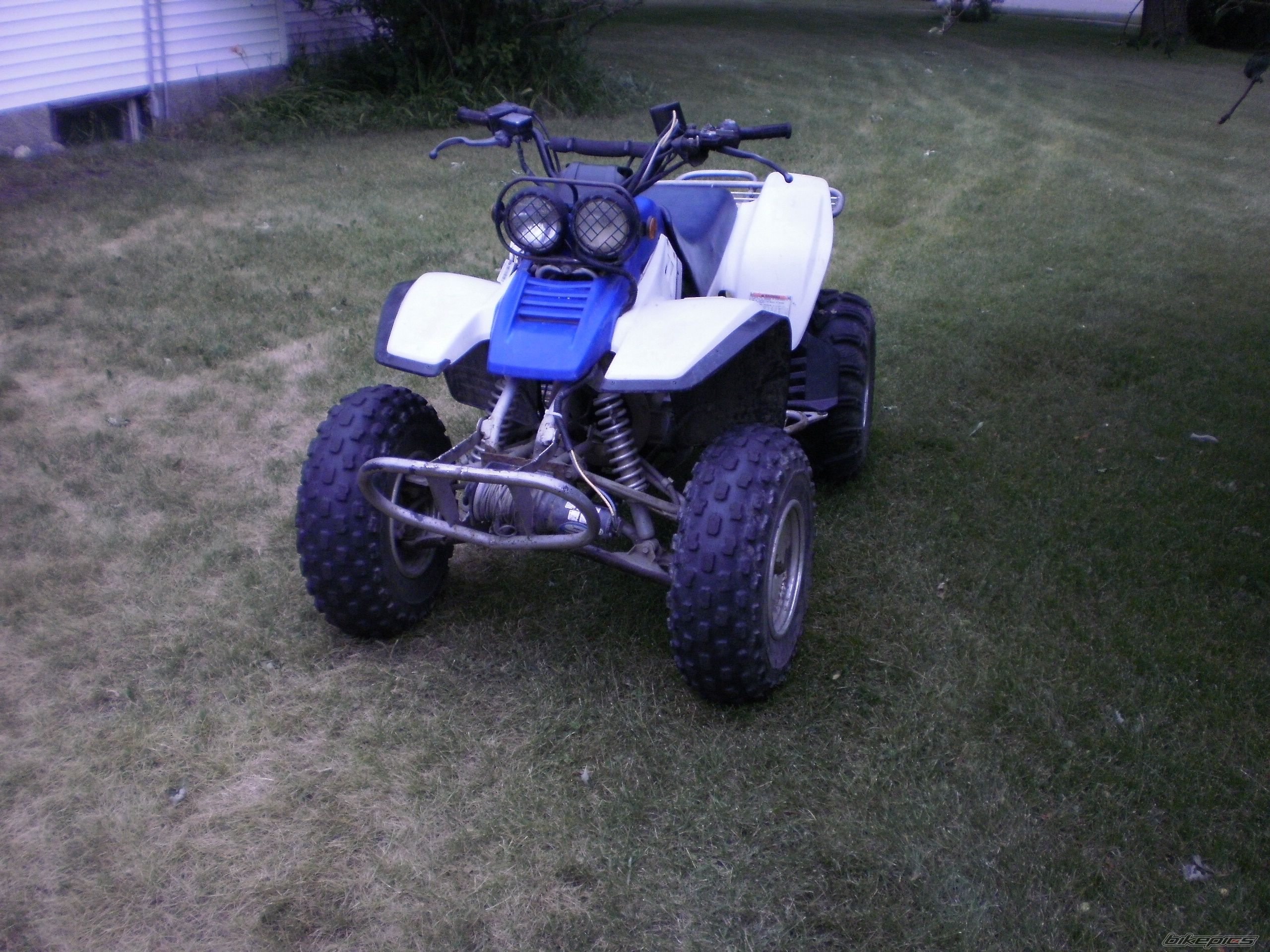 Photo 2424792