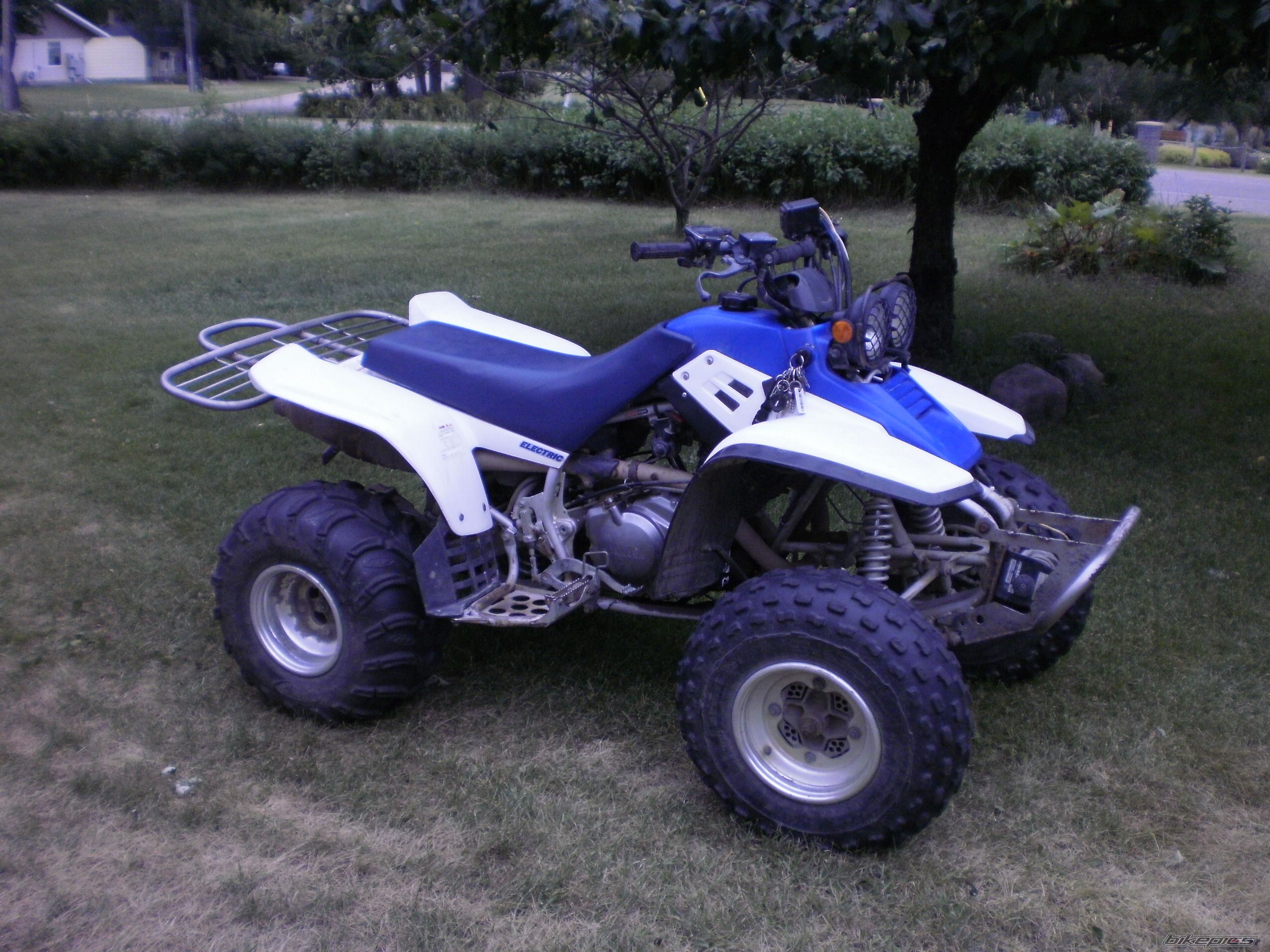 Photo 2424793