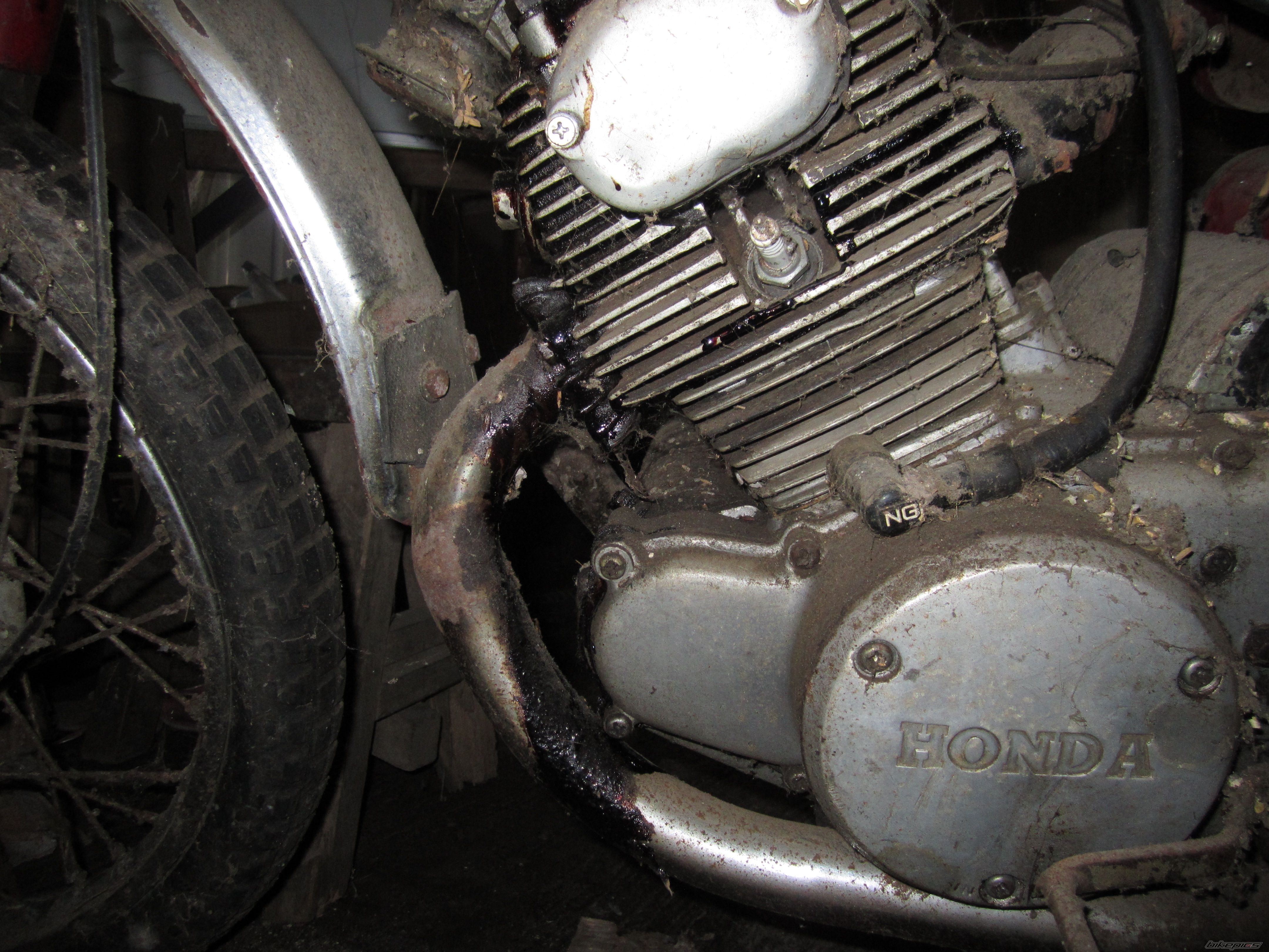 Photo 2424822