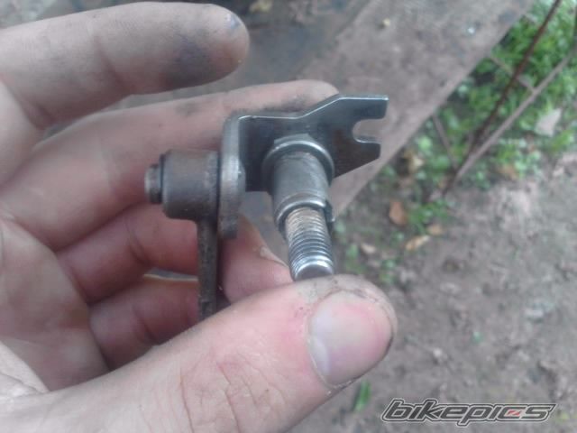 Photo 2424825