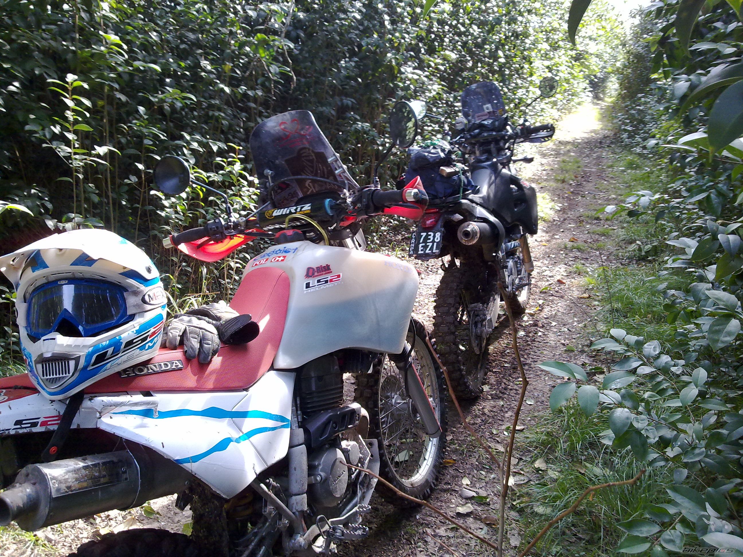 Bike Photo 2424833
