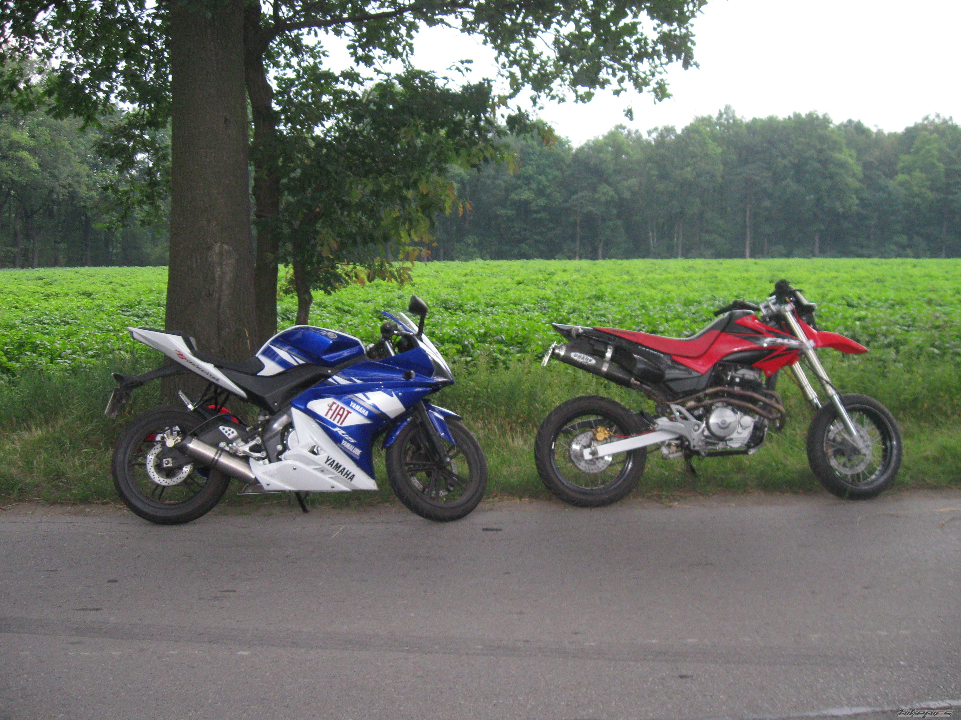 Photo 2424844