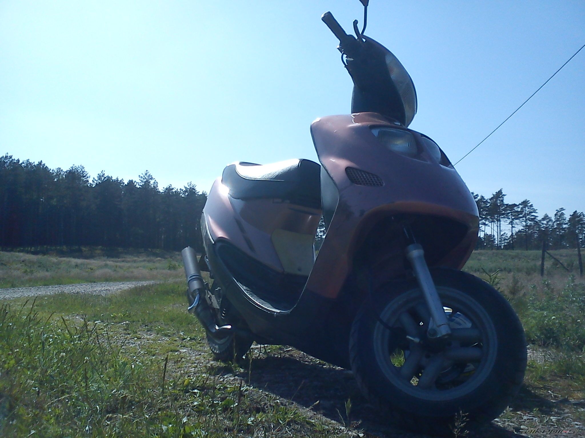Photo 2424864
