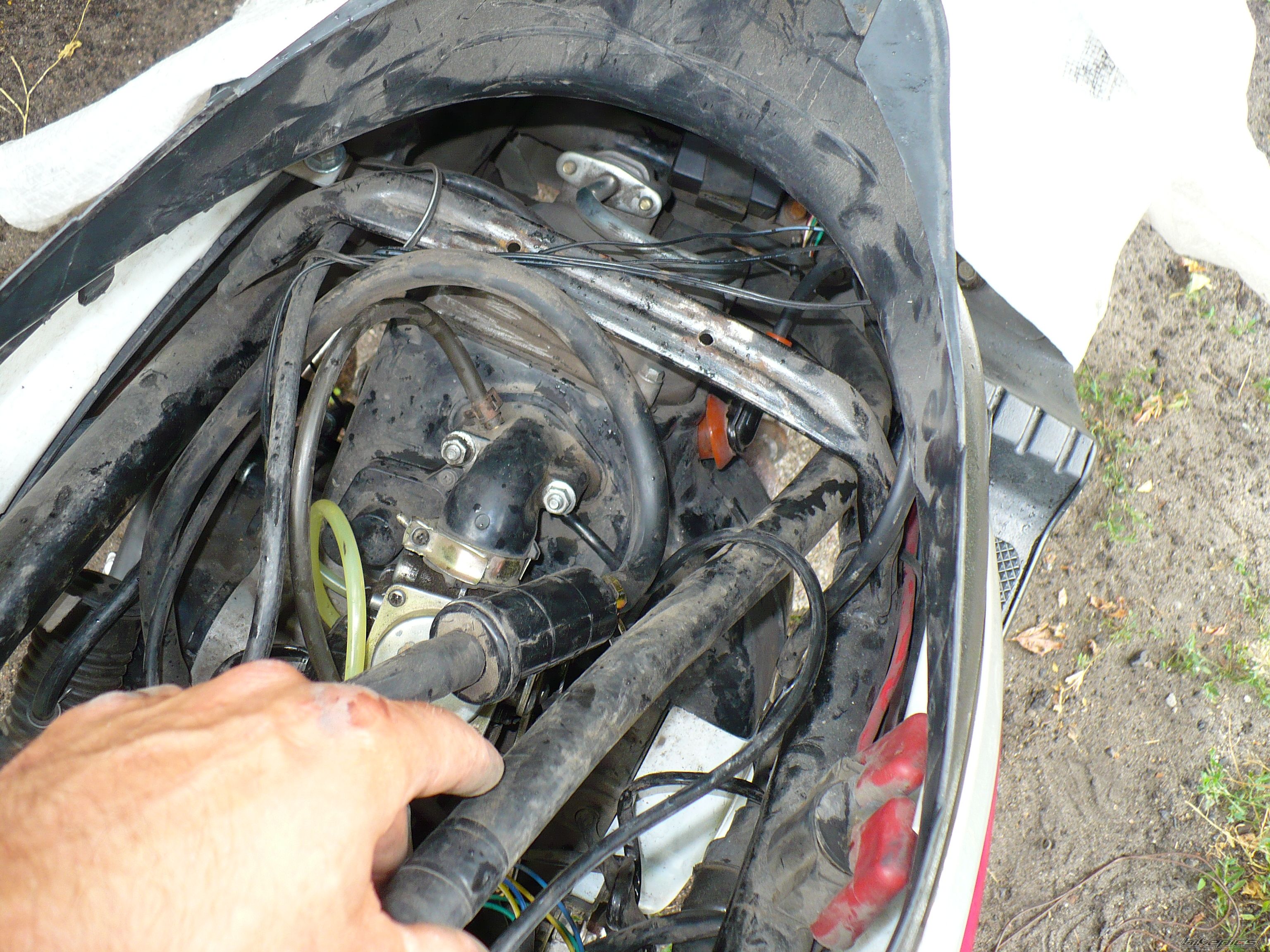 Photo 2424899