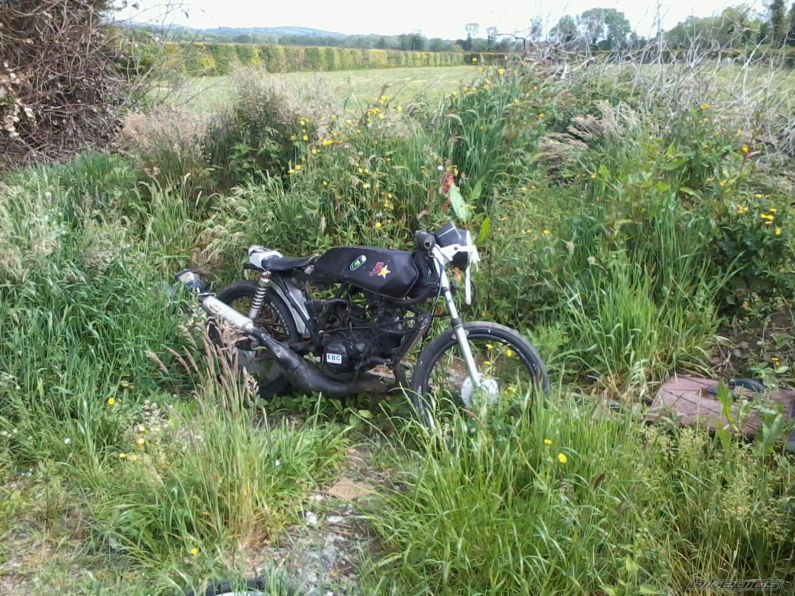 Photo 2424972