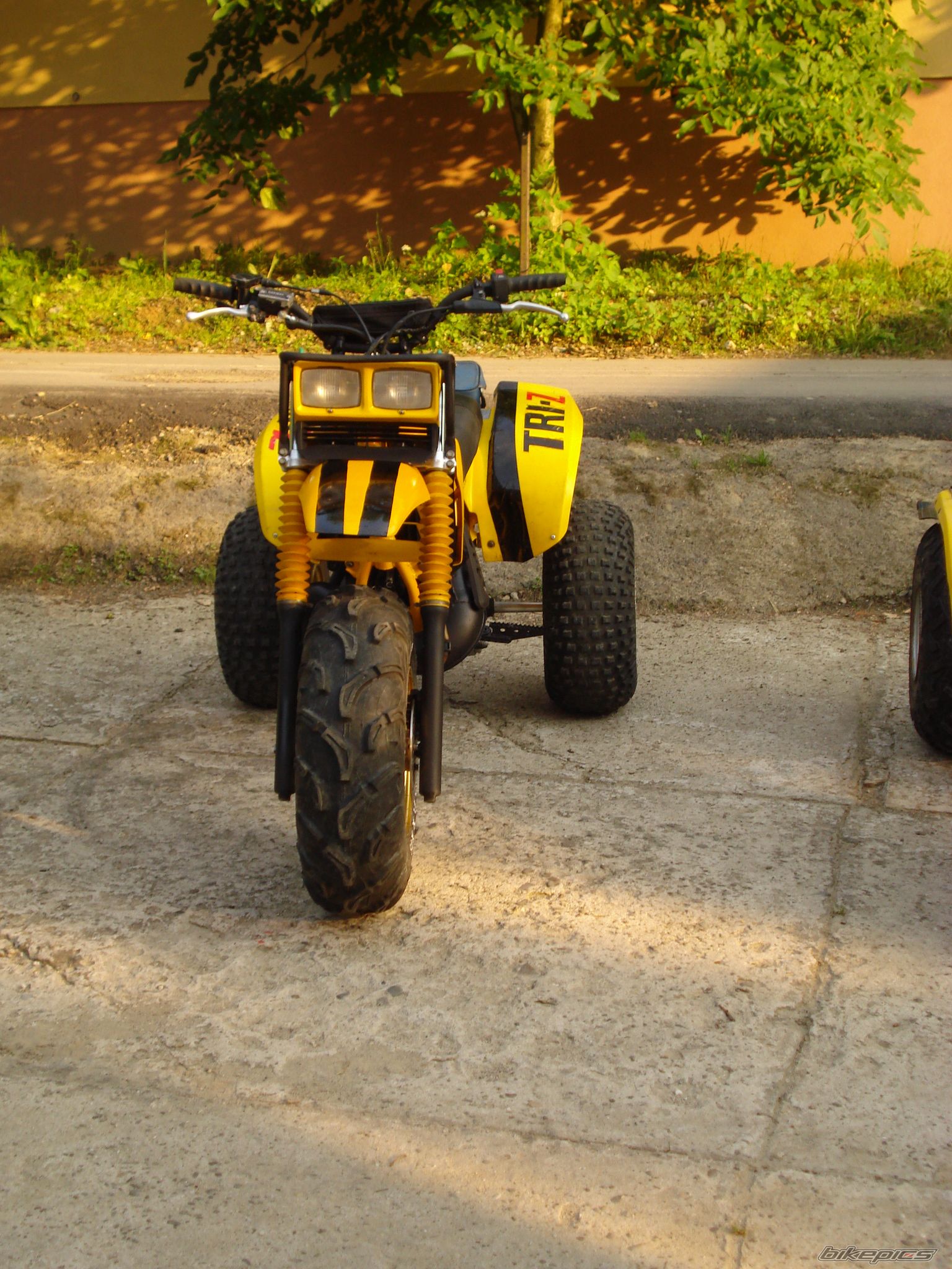 Photo 2424987