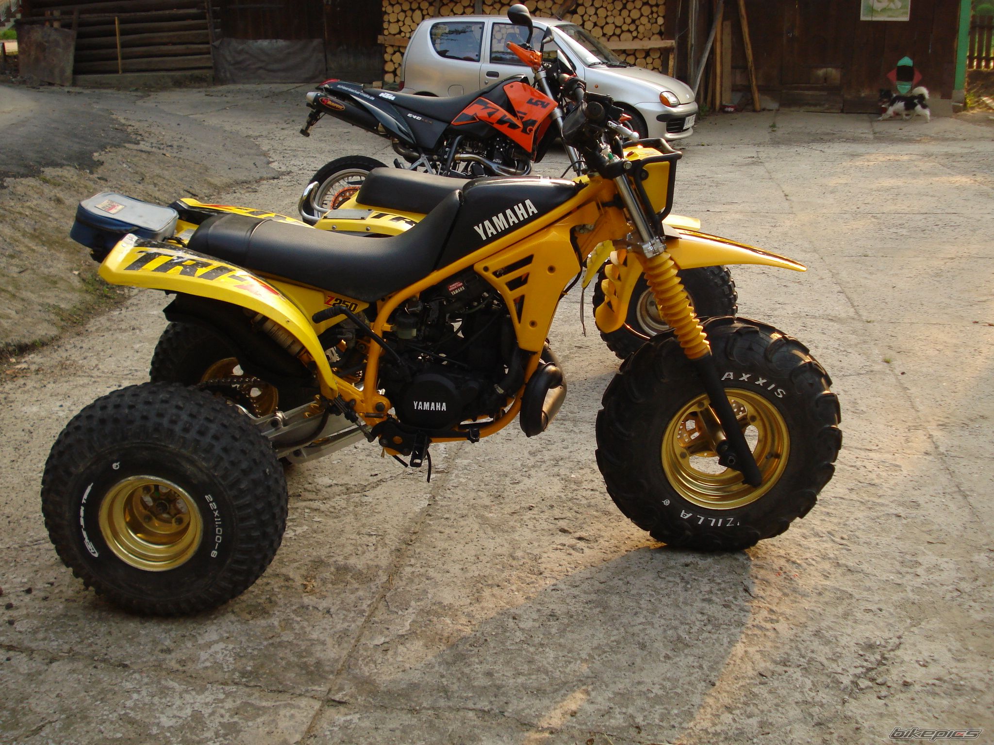 Photo 2424991