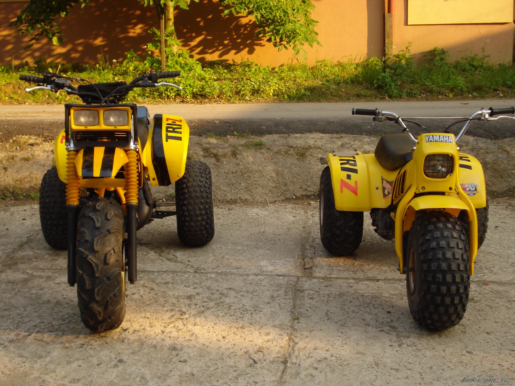 Photo 2424993
