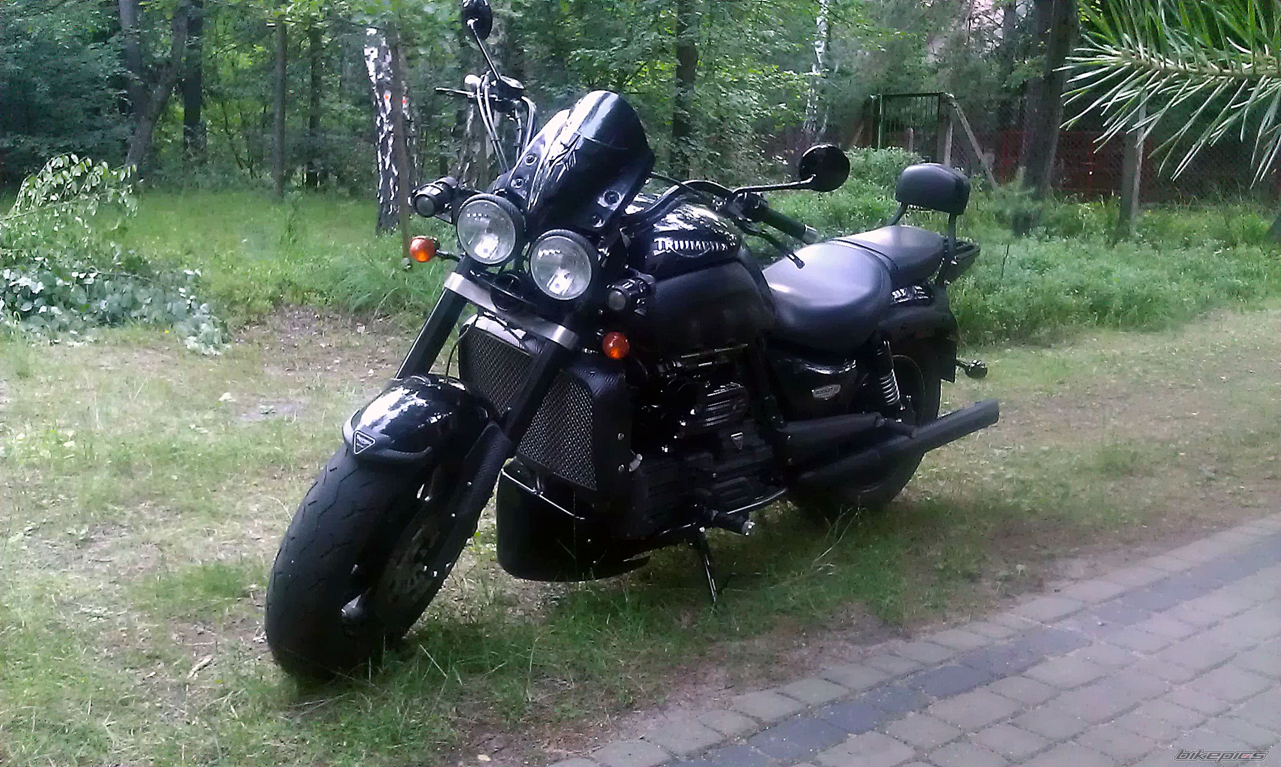 Photo 2425033