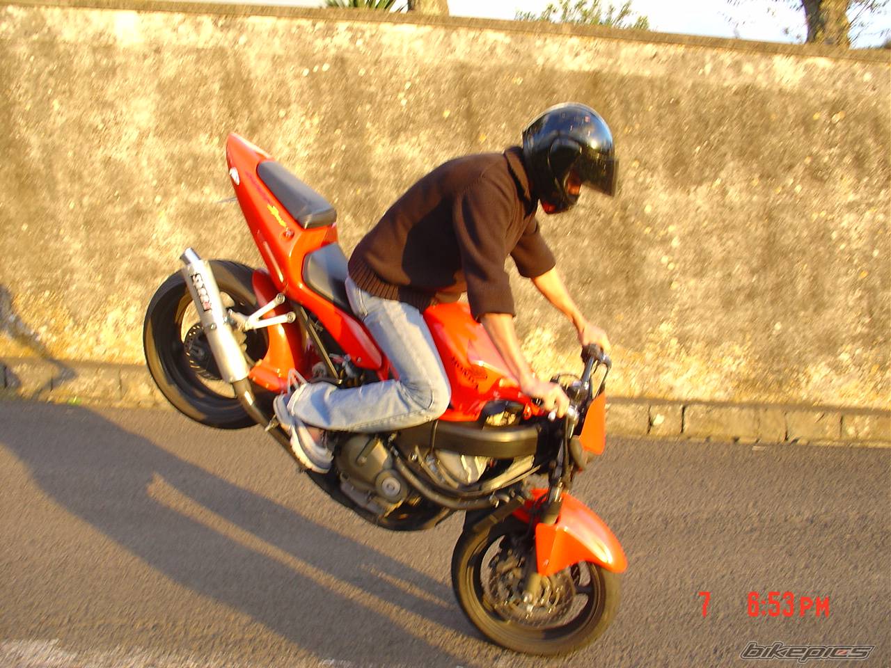 Photo 242505