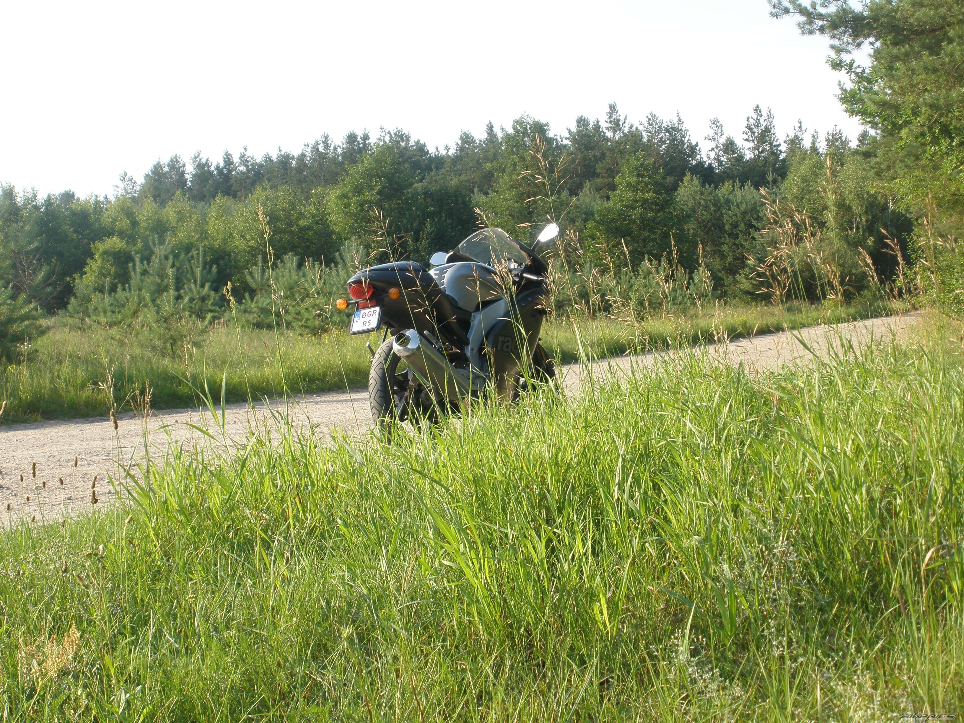 Photo 2425098
