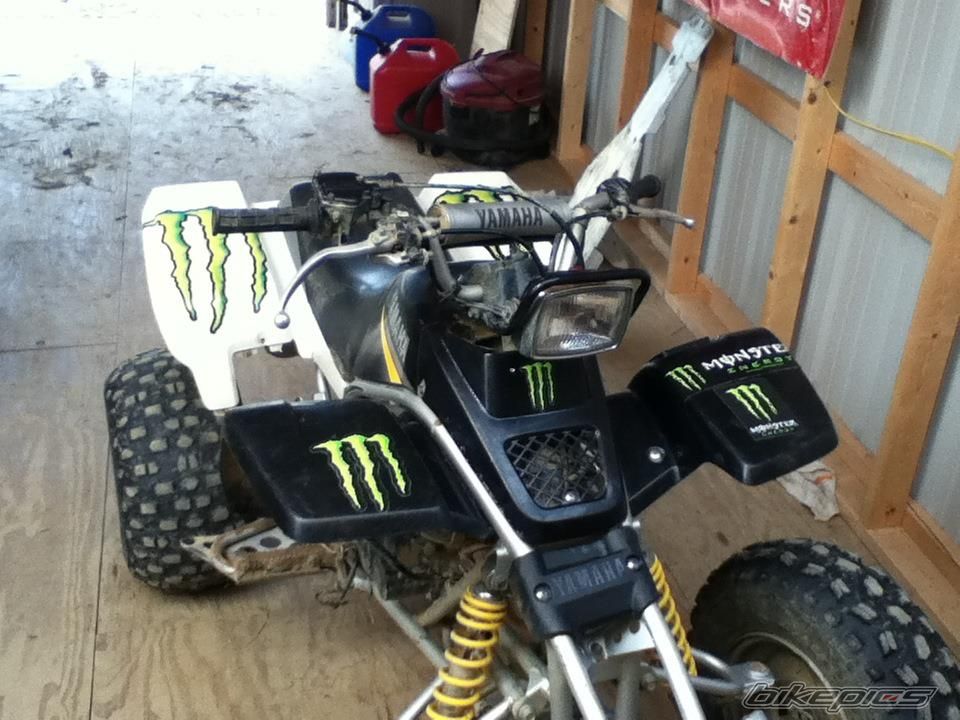 Photo 2425173