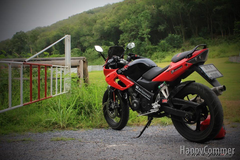 Photo 2425255