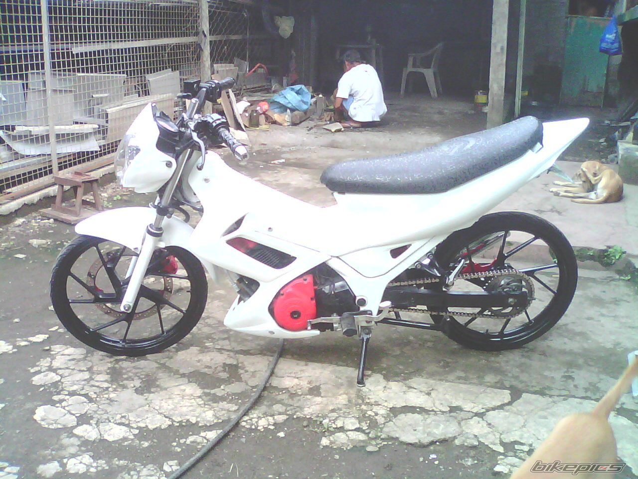 Photo 2425309