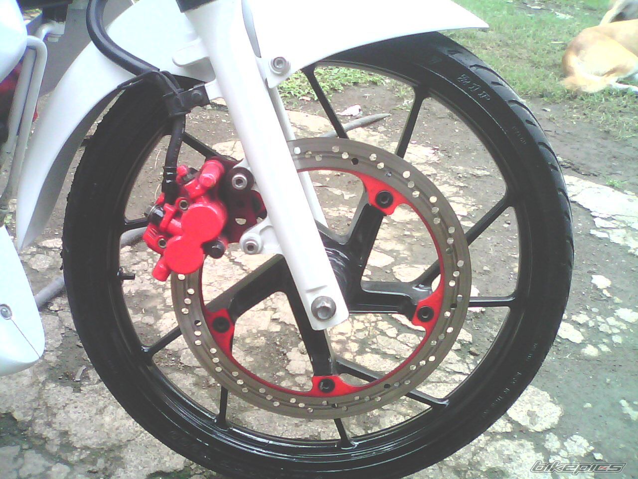 Photo 2425313