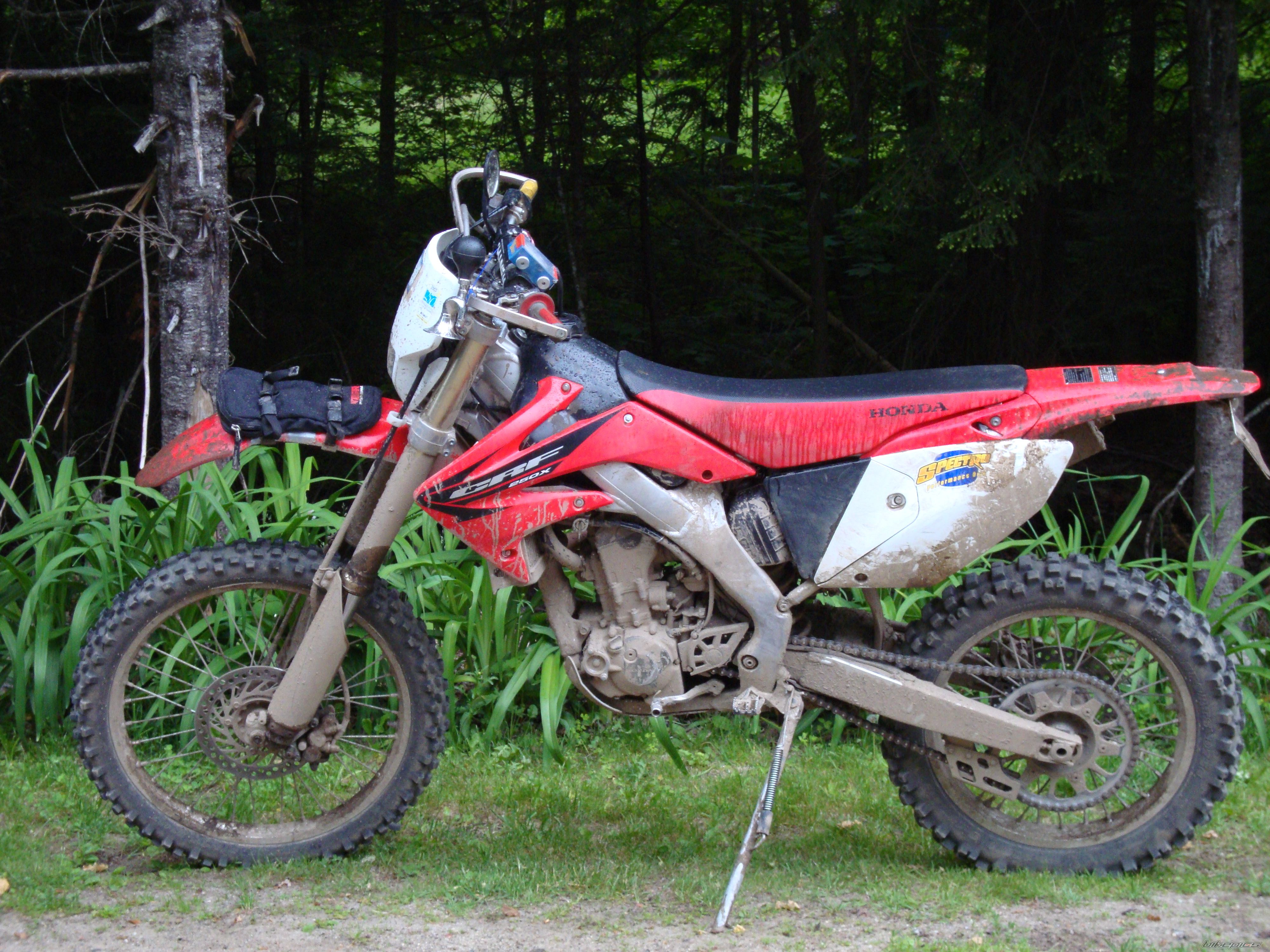 Photo 2425360