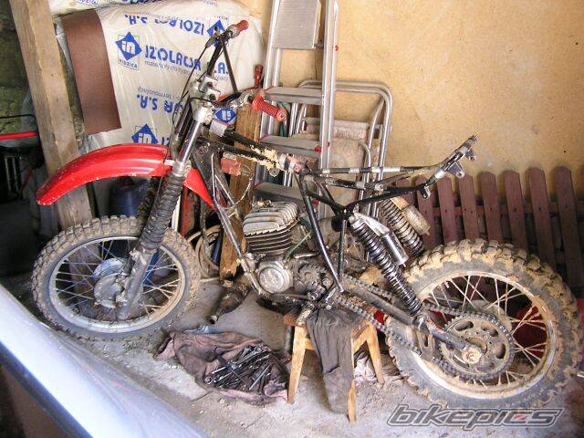 Bike Photo 242539