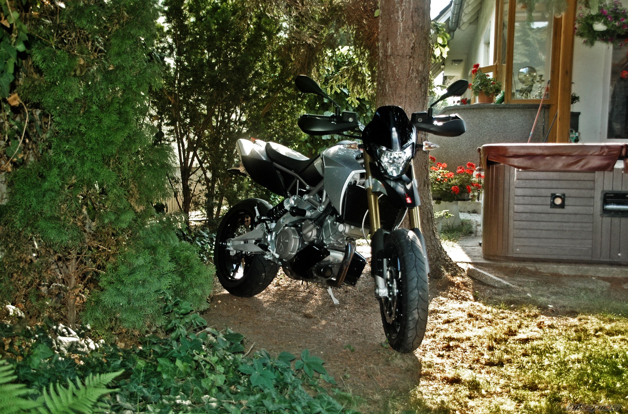Photo 2425397